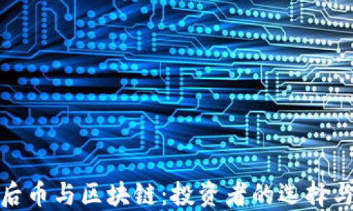 
先币后币与区块链：投资者的选择与风险