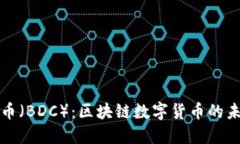 探索迪拜币（BDC）：区块