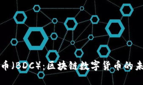 探索迪拜币(BDC):区块链数字货币的未来与潜力