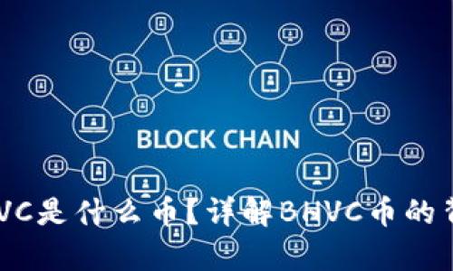 区块链BHVC是什么币？详解BHVC币的背景与前景