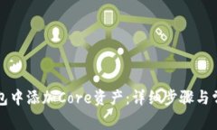 如何在TP钱包中添加Core资