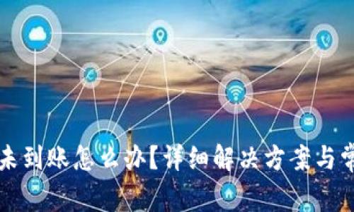 TP钱包提币未到账怎么办？详细解决方案与常见问题解析