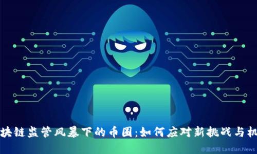 区块链监管风暴下的币圈：如何应对新挑战与机遇
