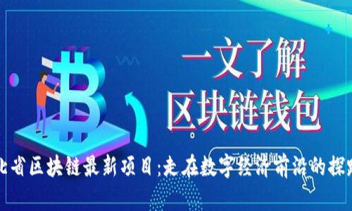 湖北省区块链最新项目：走在数字经济前沿的探路者