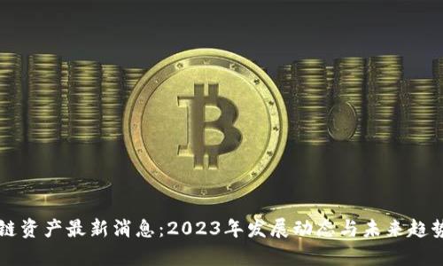 区块链资产最新消息：2023年发展动态与未来趋势分析