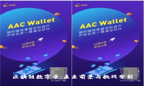 区块链数字币：未来前景与挑战分析