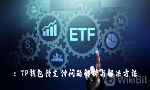 : TP钱包待支付问题解析与解决方法