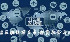 深入解读区块链项目币：