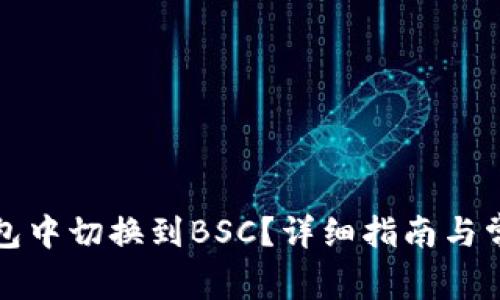 如何在TP钱包中切换到BSC？详细指南与常见问题解答