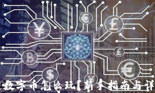 
区块链数字币怎么玩？新手指南与详细解析