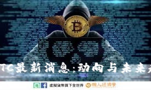 区块链ITC最新消息：动向与未来趋势解析