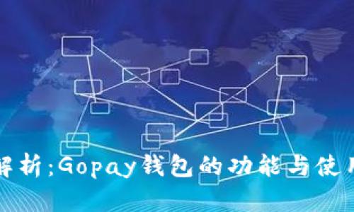 全面解析：Gopay钱包的功能与使用技巧