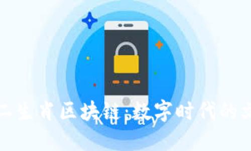 探索新加坡十二生肖区块链：数字时代的文化传承与创新