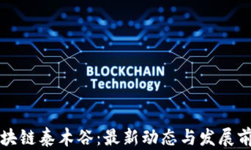 
揭秘区块链泰木谷：最新动态与发展前景分析